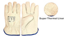 SuperThermal Winter Cold Storage Gloves Cow Grain 12 Pairs (from $9.16/pair)